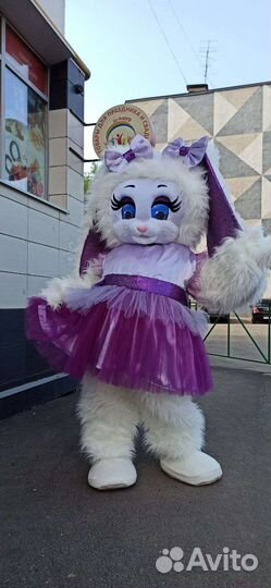 Белый Мишка Зайка поздравление