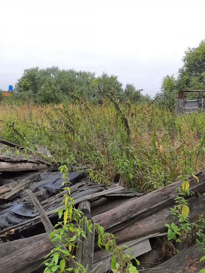 Участок 20 сот. (ИЖС)