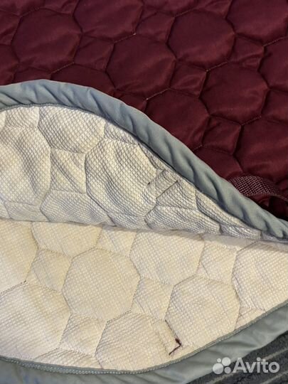 Вальтрап конкурный