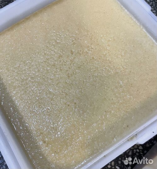 Липовый мед оптом