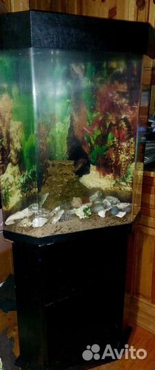 Аквариум с тумбой