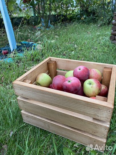Ящики для хранения фруктов и овощей