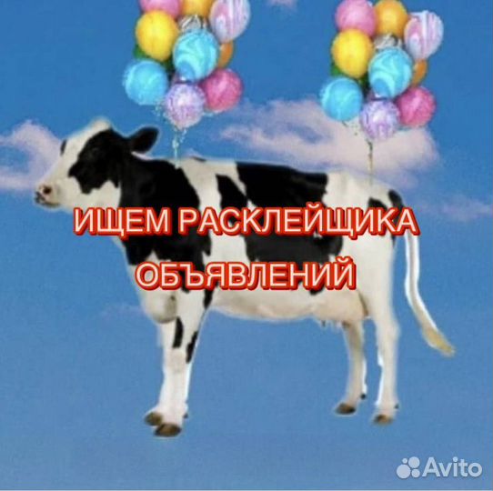 Промоутер ежедневная оплата