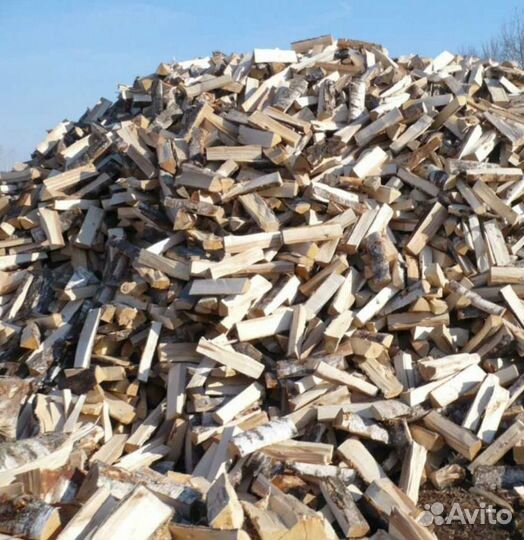 Дрова береза