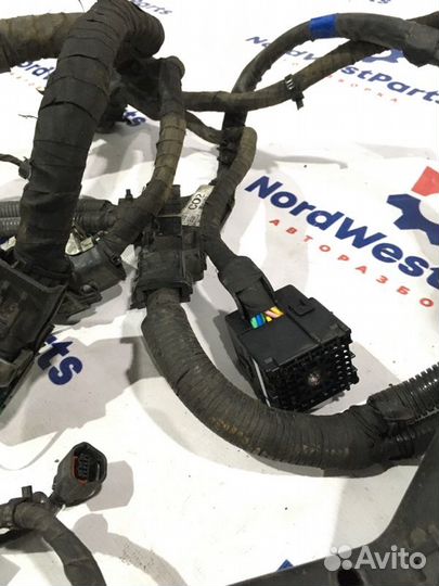 Проводка (коса) Hyundai Santa Fe (Cm) внедорожник