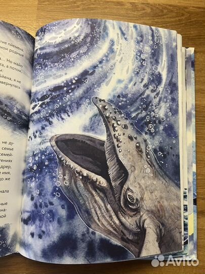 Маленькая косатка, Нагайлик, книга