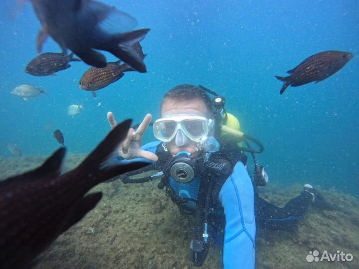 Джипинг,Квадро,Морские прогулки,Аренда Яхт,Дайвинг