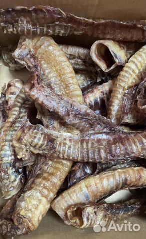 Трахея говяжья сушеная/мясо для собак