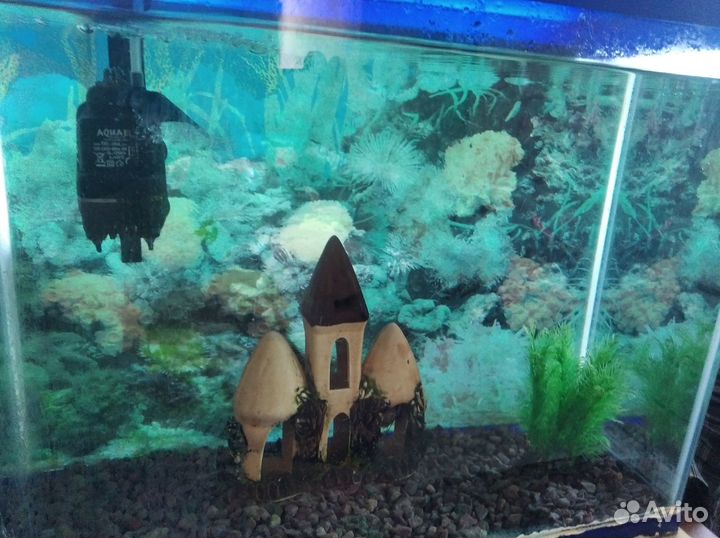 Аквариум