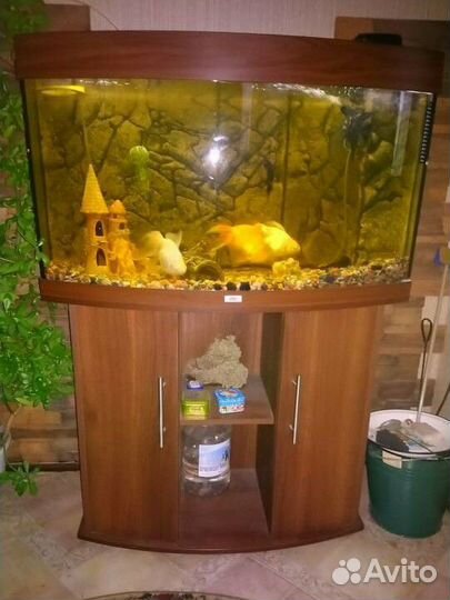 Аквариум Juwel Vision 180