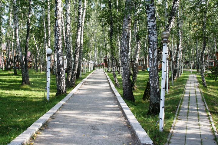 Гостиница, 5000 м²