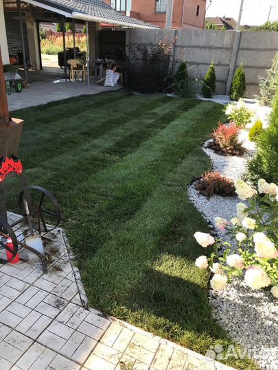 Рулонный газон