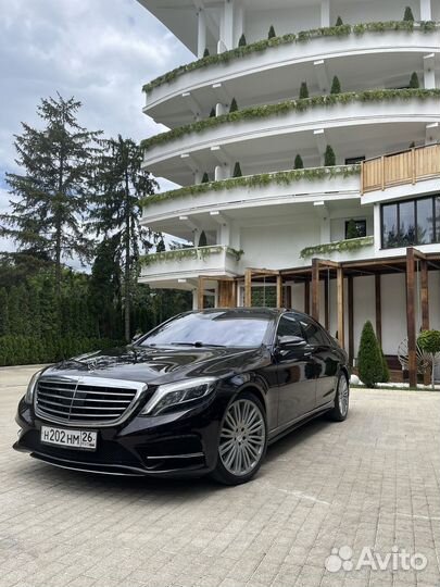 Аренда/трансфер (S class, V class, E class)
