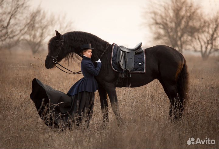 Фотосессии с лошадьми