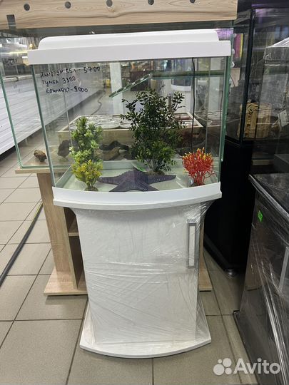 Продажа аквариумов, рыбок, оборудование