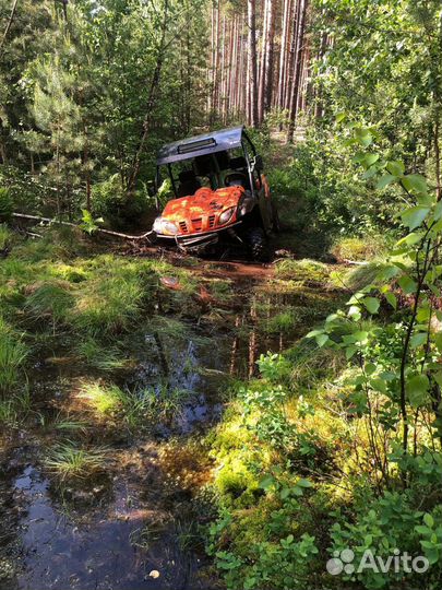 Снегоболотоход -багги