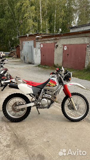 Honda XR250 Baja