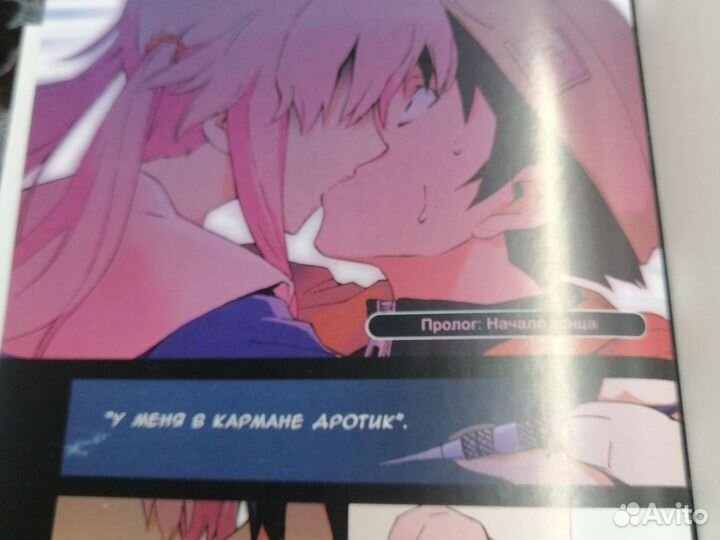 Манга:Дневник будущего часть 1