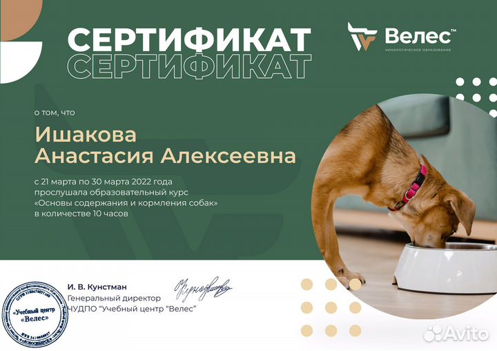 Передержка для собак и грызунов