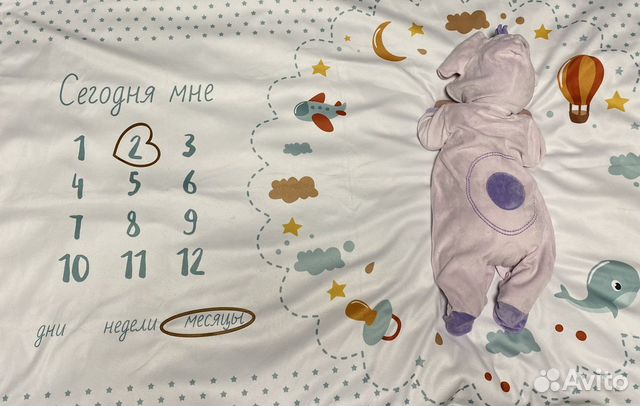 Фотоплед для фотосессии малыша по месяцам