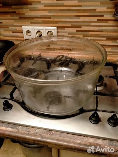 Чаша под аэрогриль