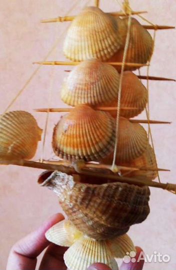 Корабль из ракушек
