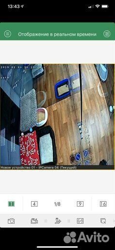 Оборудование гостиницы для животных