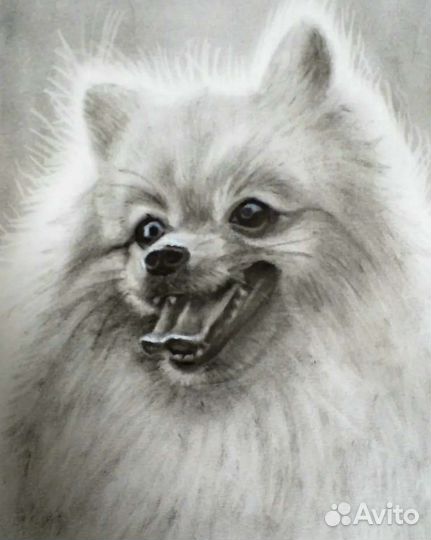 Портреты сухой кистью, карандашом по фото