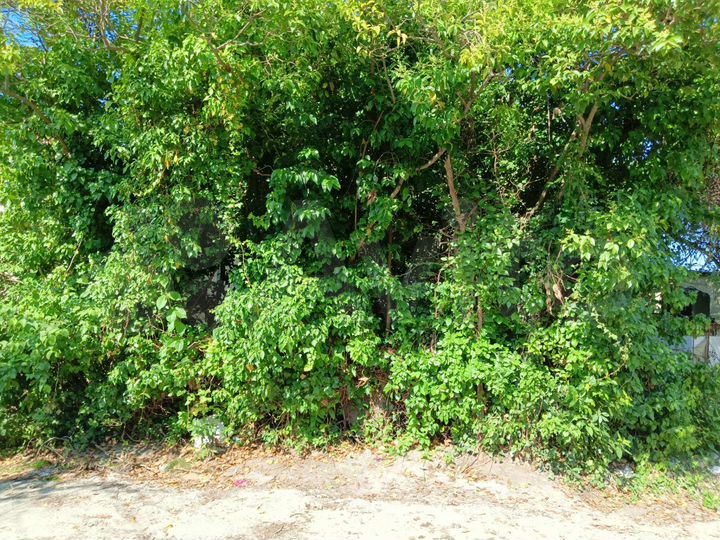 Дача 46 м² на участке 2,4 сот.