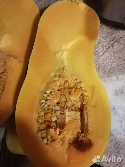 Тыква сладкая мускатная и другая