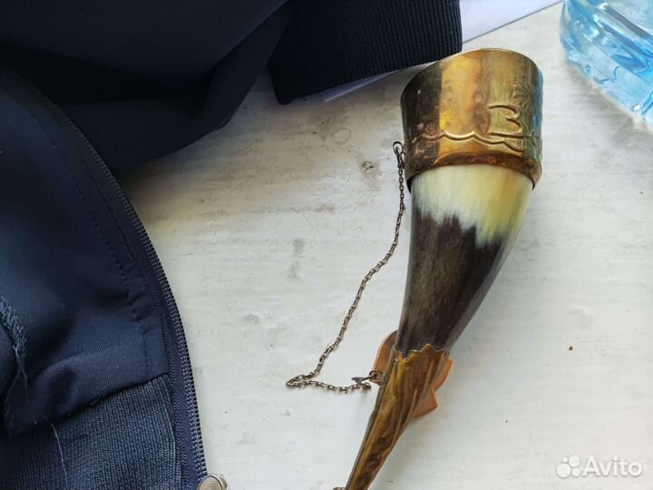 Рог Забайкальский