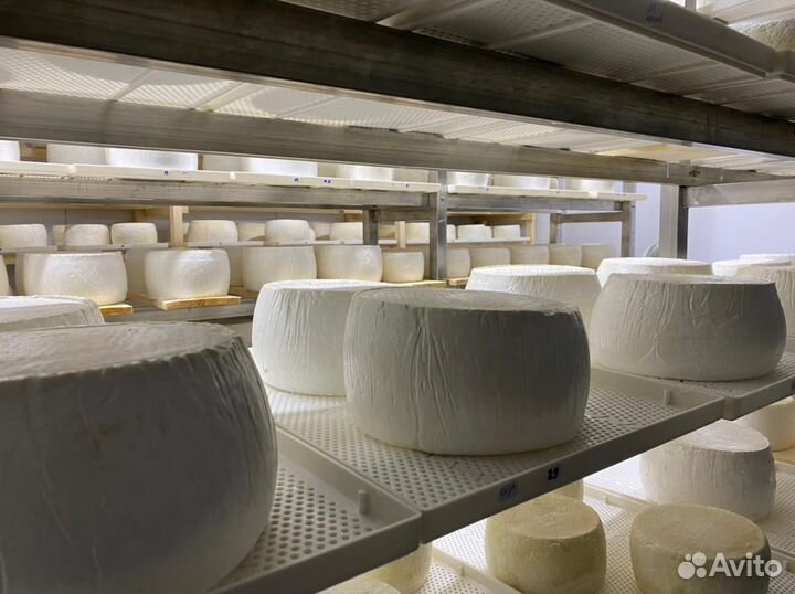Сыроварня в Подмосковье (пищевое производство)
