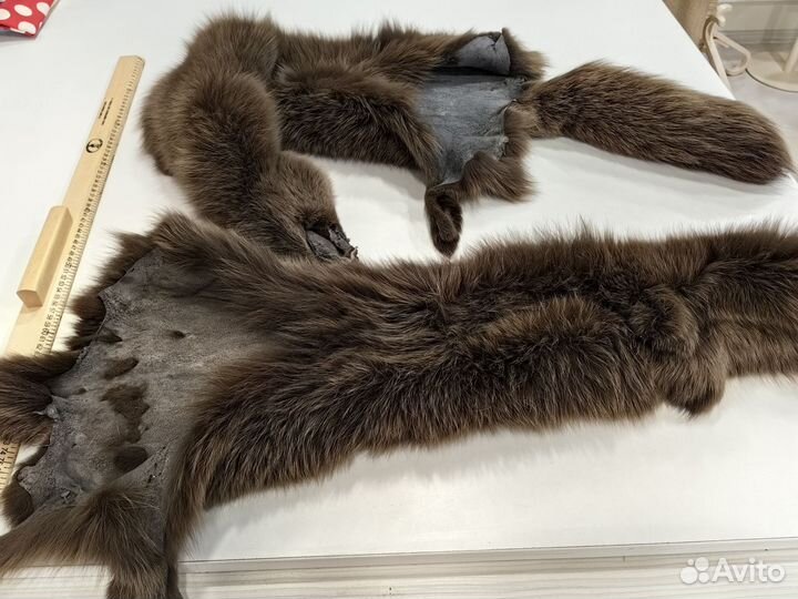 Шкура песца