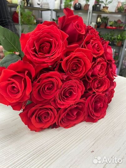 Роза Эквадор предзаказ от 1 коробки (500 шт.)