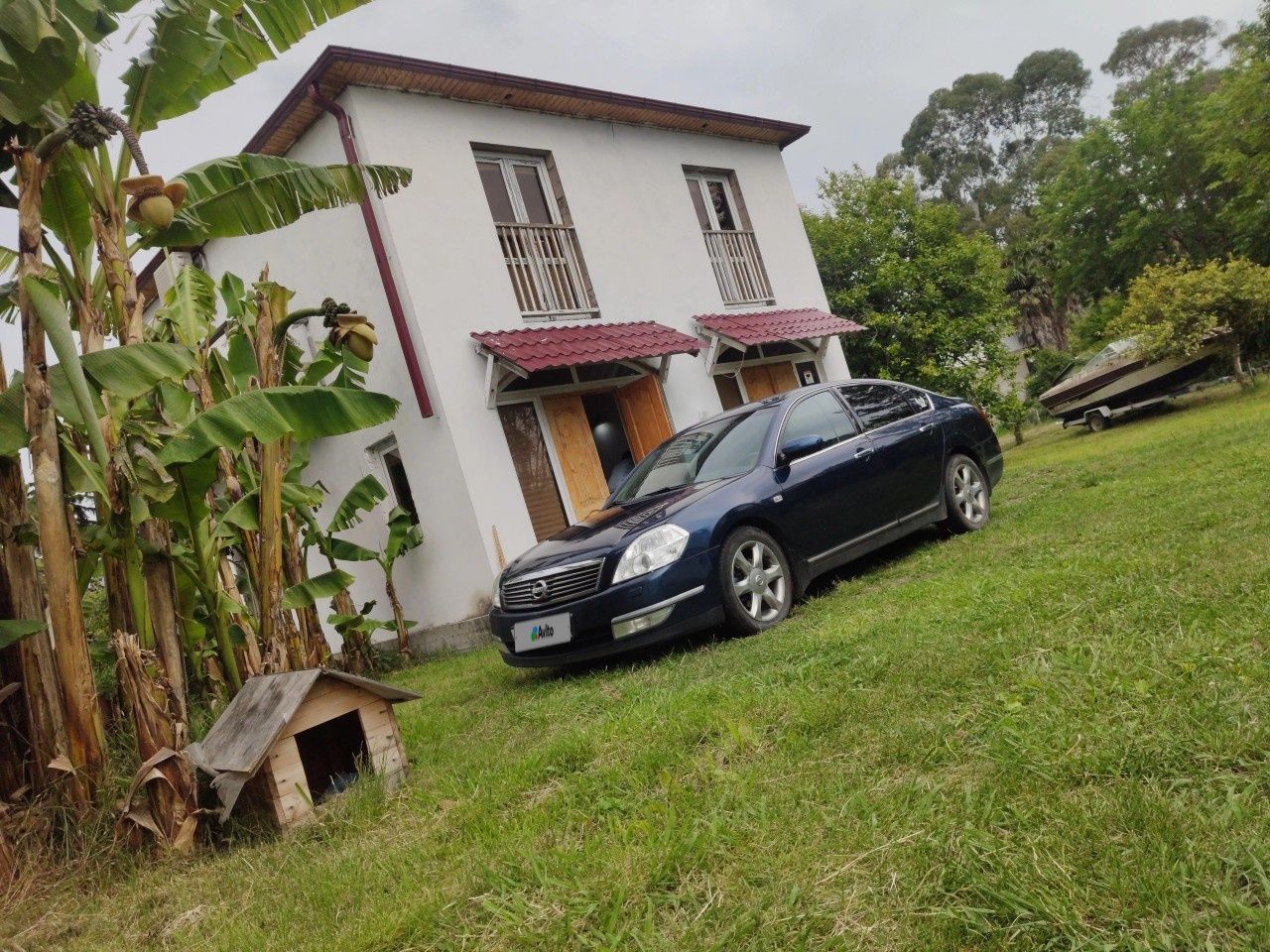 Nissan Teana: фото владельца