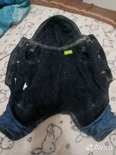 Одежда для маленьких собак