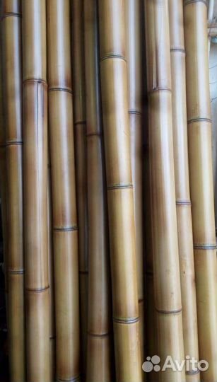 Термообработанный бамбук. Бамбук для декора
