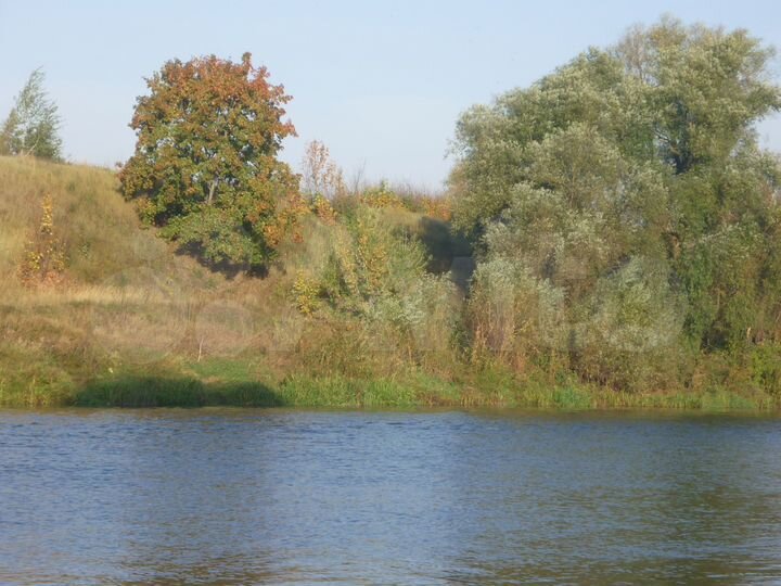 Участок 10 сот. (ИЖС)