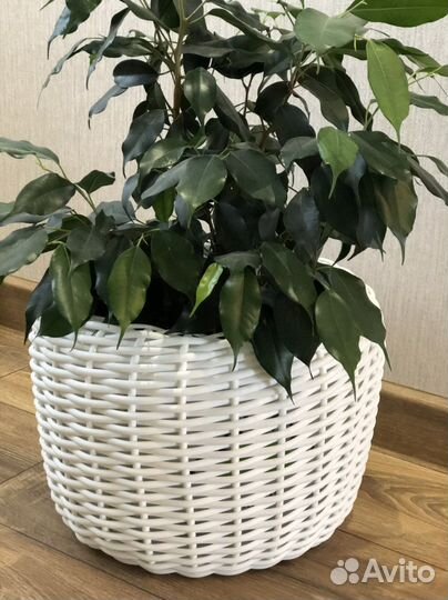 Кашпо из ротанга