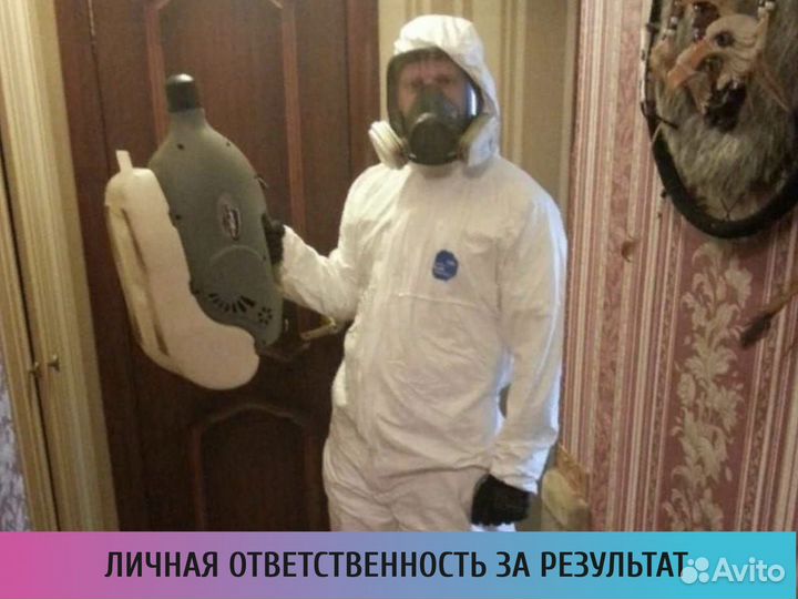 Уничтожение клопов и тараканов. Частный мастер