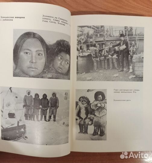 Северный полюс Поведение потребителей