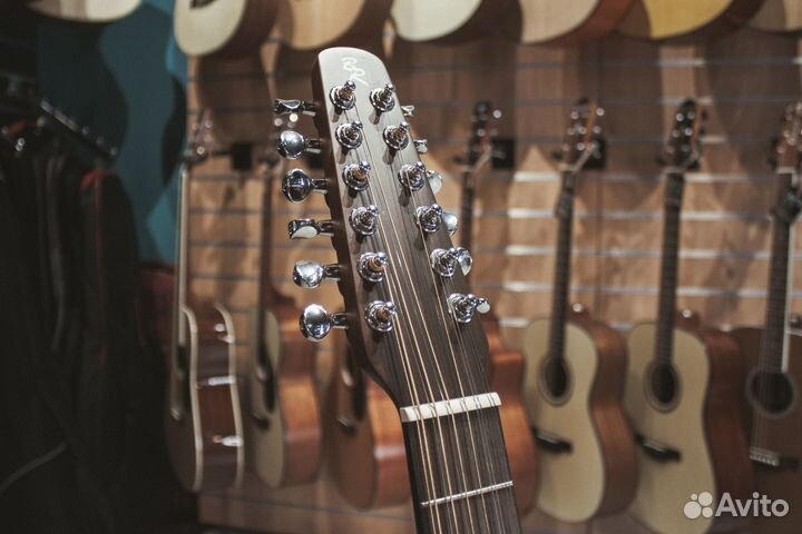 Baton Rouge L1LS/D-12, акустическая гитара, новая