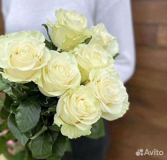 Высокие Розы с Доставкой