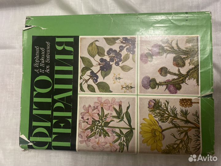 Жизнь животных и жизнь растений