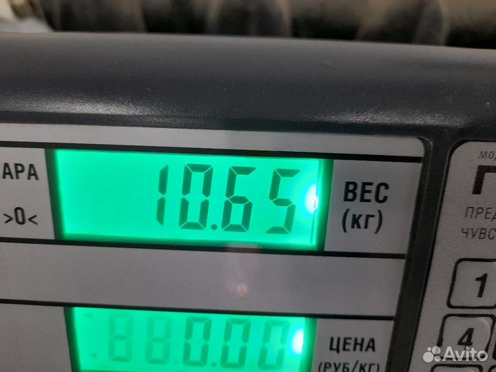 Колодка тормозная задняя