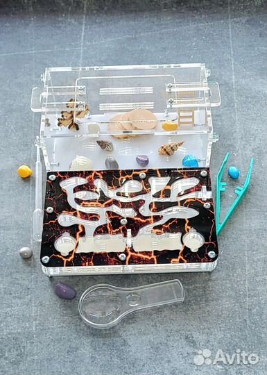 Муравьиная ферма Формикарий