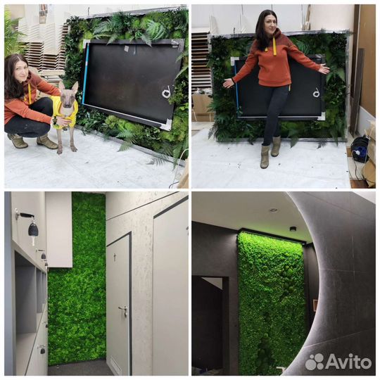 Панели, картины из мха любых размеров, от