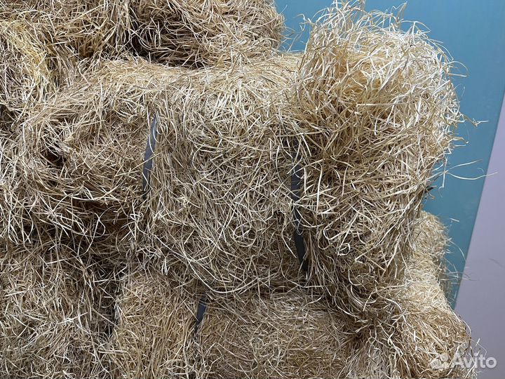Древесная стружка, отдам бесплатно