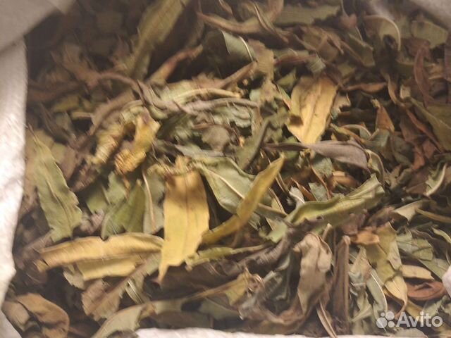 Кипрей (Иван чай) лист