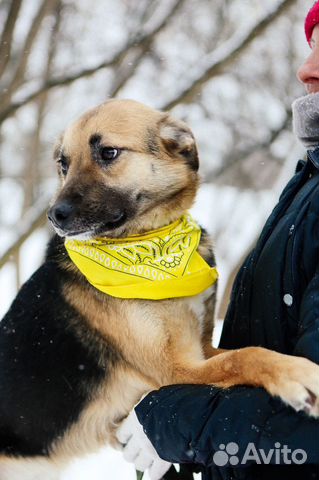 Малютка Никс не может без человека